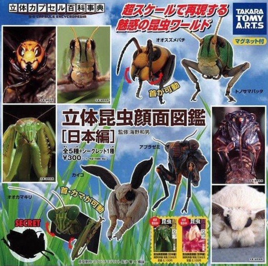 Kaiyodo Capsule Q Museum Gashapon Insect Face Encyclopedia Japan 5+1 Secret 6 Figure Set