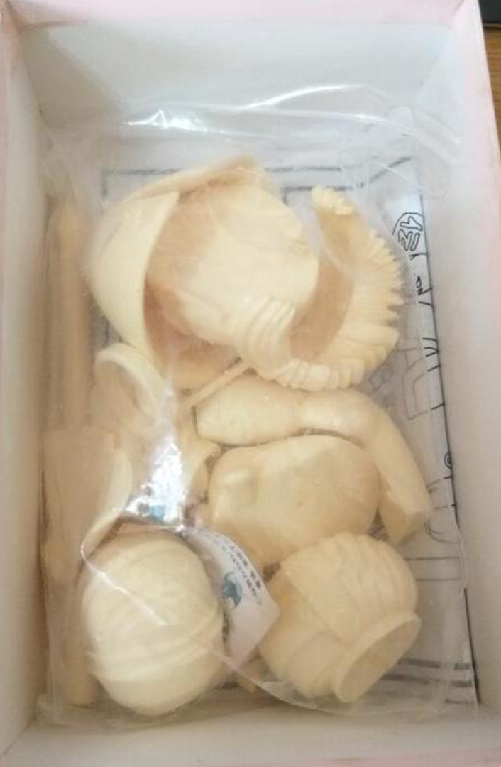 Japan Denshin Mamotte Shugogetten Rishu Cold Cast Model Kit Figure