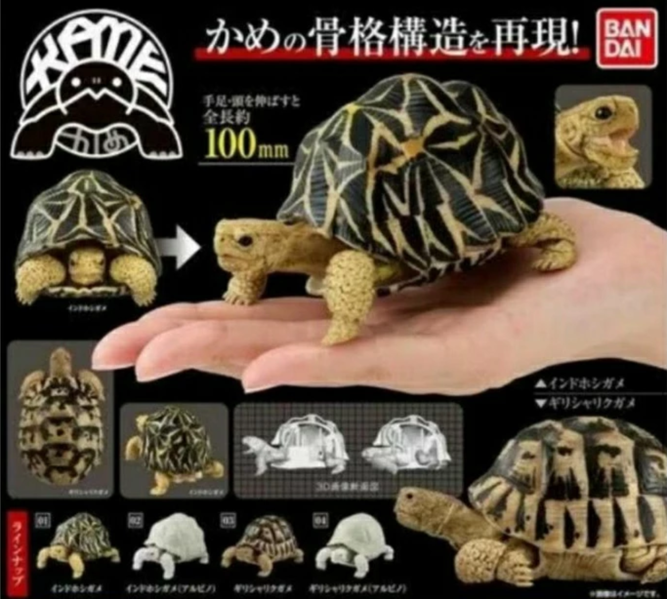 Bandai The Diversity of Life on Earth Gashapon Turtle Kame Part 01 4 Action Figure Set