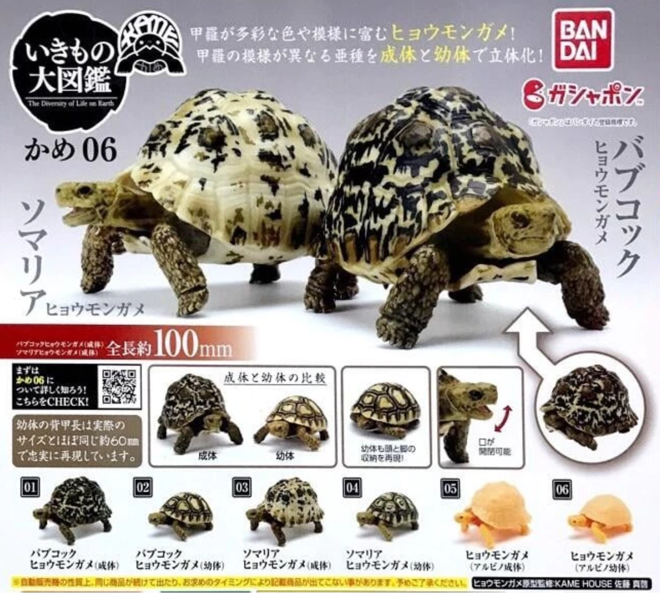 Bandai The Diversity of Life on Earth Gashapon Turtle Kame Part 06 6 Action Figure Set