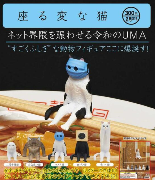 Kitan Club Gashapon Funny Sitting Cat 5 Collection Figure Set