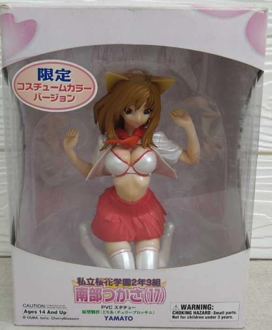 Yamato Private Ouka Academy Class 2-3 Tsukasa Nanbu Limited Edition ver Pvc Figure