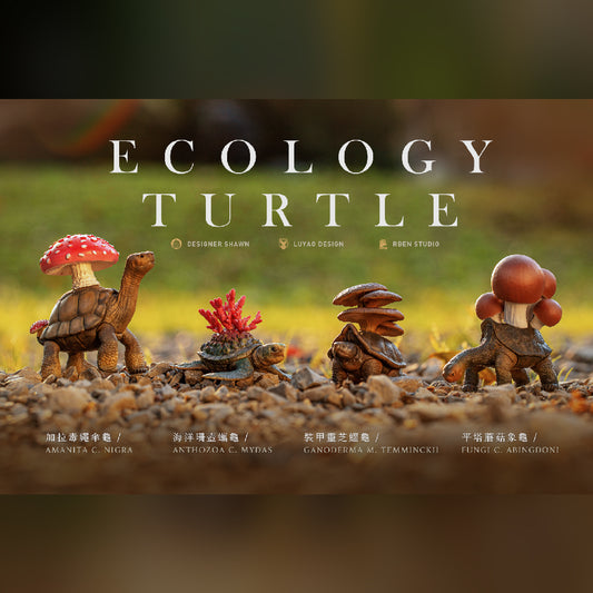 Luyao Design Toys Shawn Gashapon Ecology Turtle 4 Collection Figure Set