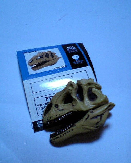 Kaiyodo Dinotales Dinosaur Part 2 No 047 Allosaurus Skull Skeleton Collection Figure - Lavits Figure