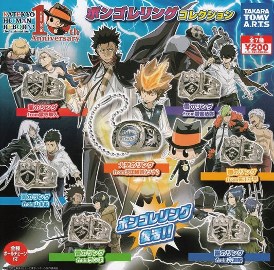 Takara Tomy Katekyo Hitman Reborn Gashapon 10th Anniversary 7 Metal Ring Strap Figure Set