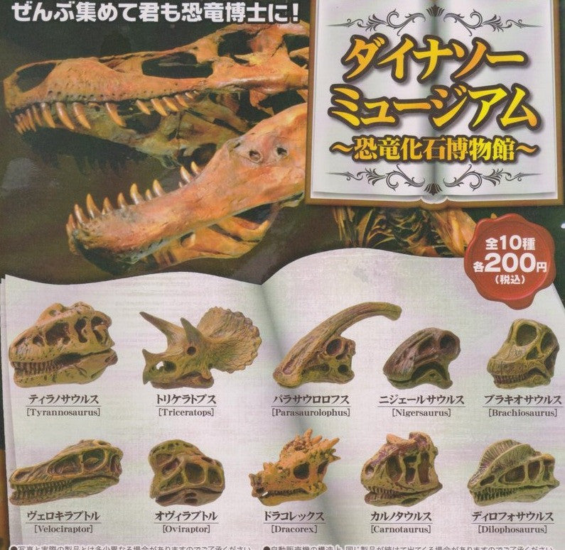 Yell Gashapon Dinosaur Skeleton Museum 10 Figure Set