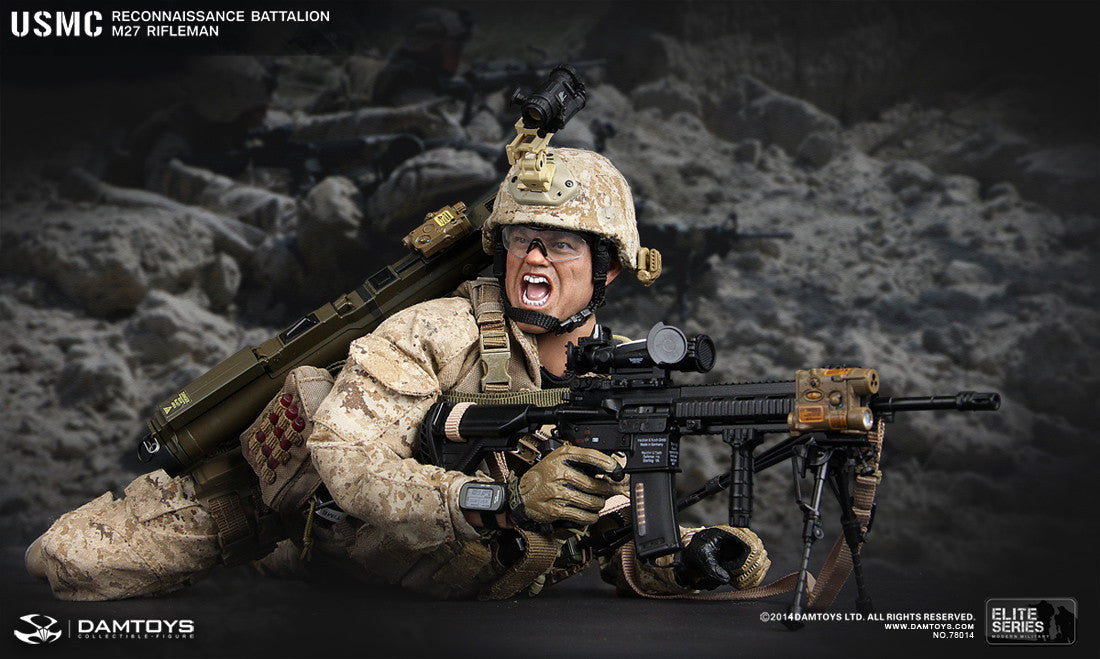DamToys 1/6 12" Elite Series 78014 USMC Reconnaissance Battalion M27 Rifleman Action Figure - Lavits Figure
 - 3