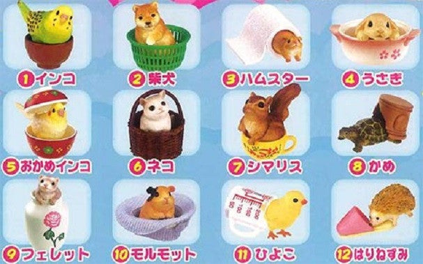 Re-ment Puchi Animal Gyu Gyu Pet 12 Miniature Trading Figure Set - Lavits Figure
- 1