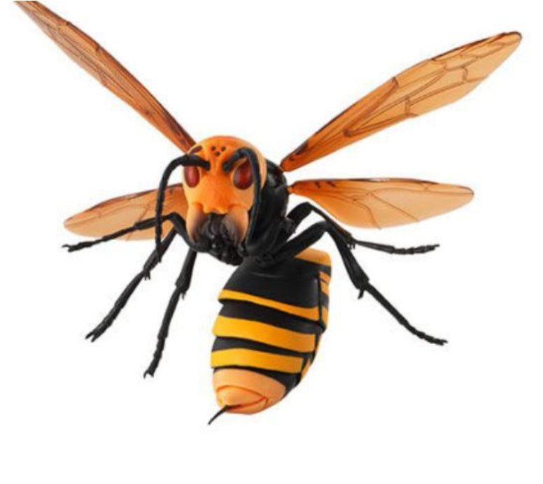 Bandai The Diversity of Life on Earth Gashapon Suzumebachi Hornet Wasp 3 Collection Figure Set