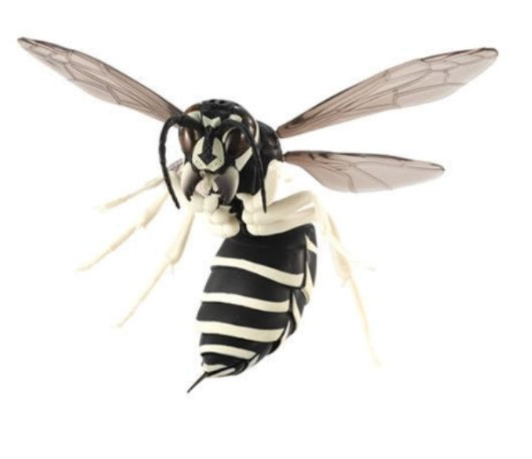 Bandai The Diversity of Life on Earth Gashapon Suzumebachi Hornet Wasp 3 Collection Figure Set