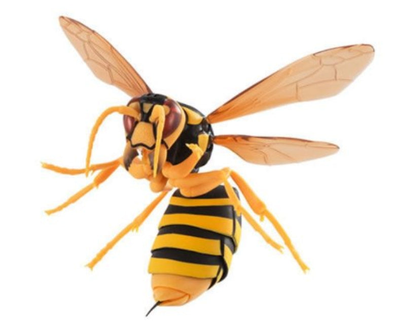 Bandai The Diversity of Life on Earth Gashapon Suzumebachi Hornet Wasp 3 Collection Figure Set