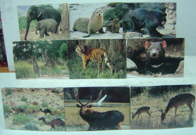 Bandai World Nature Animals Collection Asia Australia Ver. 17 Trading Figure Set - Lavits Figure
- 3