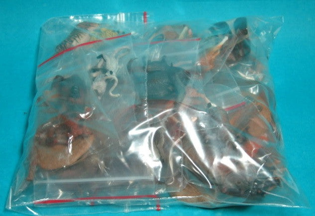 Bandai World Nature Animals Collection Asia Australia Ver. 17+2 Secret 19 Trading Figure Set - Lavits Figure
- 2