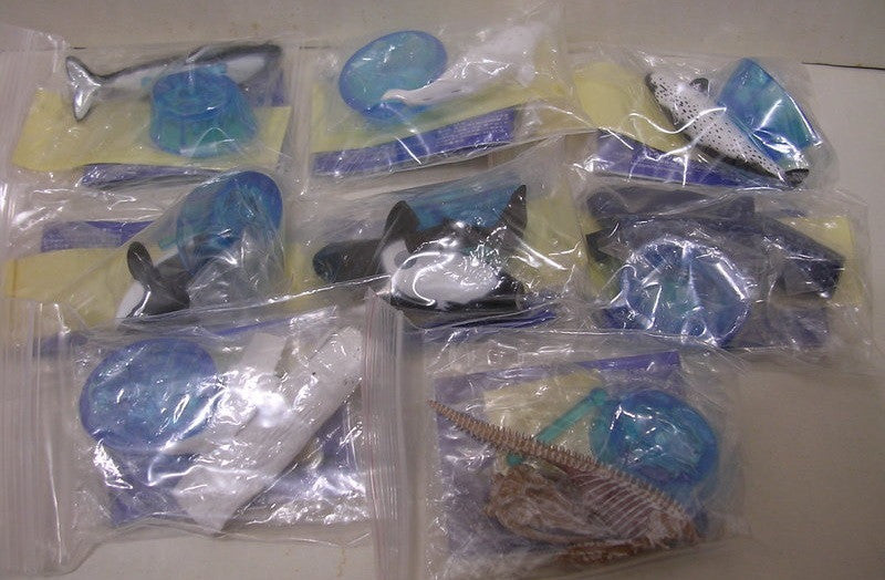 Epoch Earth Life Journey Gashapon Whale & Dolphin 6+2 Secret 8 Trading Figure Set - Lavits Figure
- 2