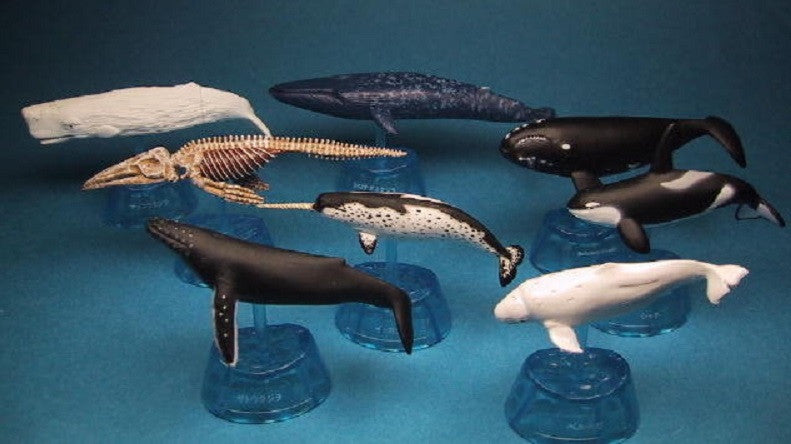 Epoch Earth Life Journey Gashapon Whale & Dolphin 6+2 Secret 8 Trading Figure Set - Lavits Figure
- 1