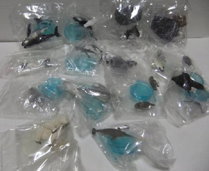 Bandai World Nature Animals Collection Ocean Sea Ver. 13+1 Secret 14 Trading Figure Set - Lavits Figure
- 2