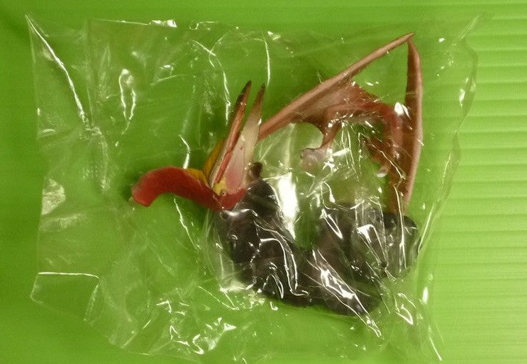 Kaiyodo Dinotales Dinosaur Part 6 Lawson Limited Collection No 01 B Quetzalcoatlus Figure - Lavits Figure