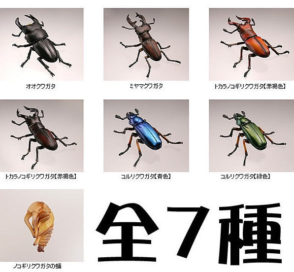Kaiyodo Capsule Q Museum Gashapon Japanese Stag Beetle 7 Mini Trading Figure Set - Lavits Figure
- 2