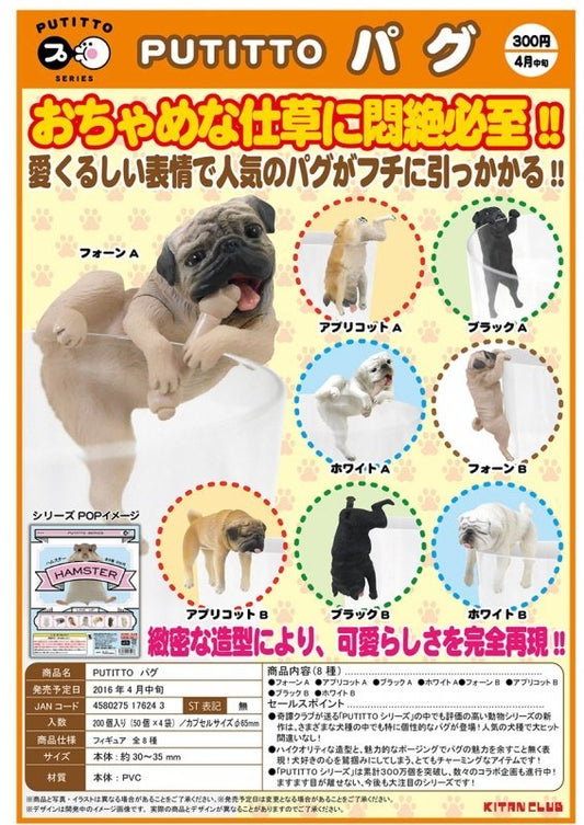 Kitan Club Putitto Pug Dog Gashapon Cup Edge 8 Figure Set