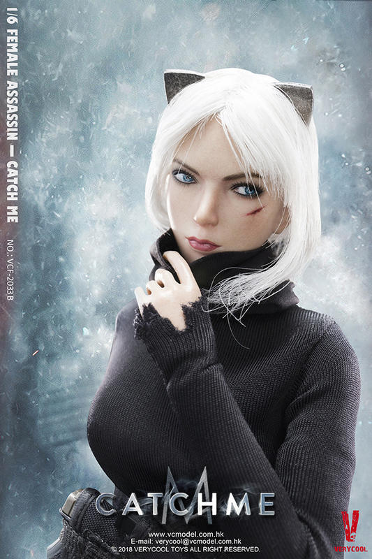 Verycool 1/6 12" VCF-2033B Female Asassin Catch Me Action Figure