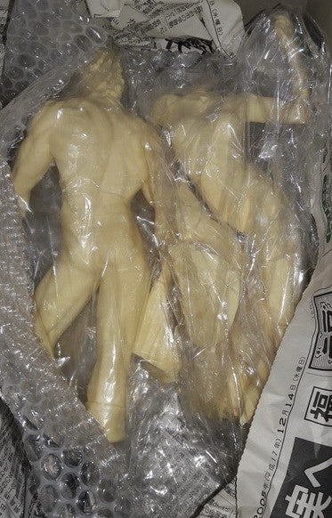 Space Adventure Cobra Orient Hero Series Buichi Terasawa World Cold Cast Model Kit Figure - Lavits Figure
- 3