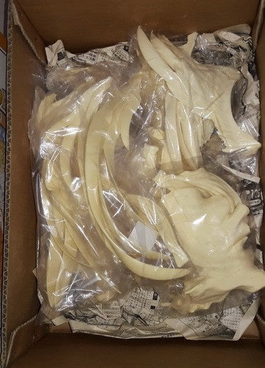 Volks 1/6 Ah Oh My Goddess Special Holy Bell Belldandy Cold Cast Model Kit Figure - Lavits Figure
- 2