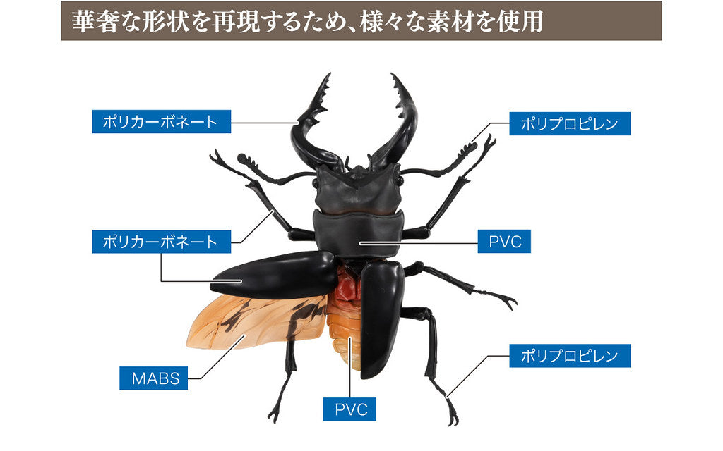 Bandai The Diversity of Life on Earth Gashapon Kuwagata Stag Beetle 4 Action Figure Set