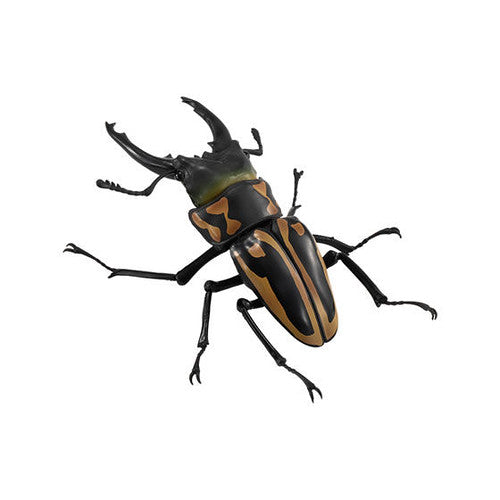 Bandai The Diversity of Life on Earth Gashapon Kuwagata Stag Beetle 4 Action Figure Set