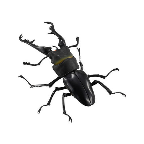 Bandai The Diversity of Life on Earth Gashapon Kuwagata Stag Beetle 4 Action Figure Set