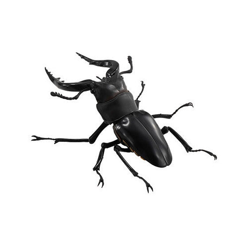Bandai The Diversity of Life on Earth Gashapon Kuwagata Stag Beetle 4 Action Figure Set