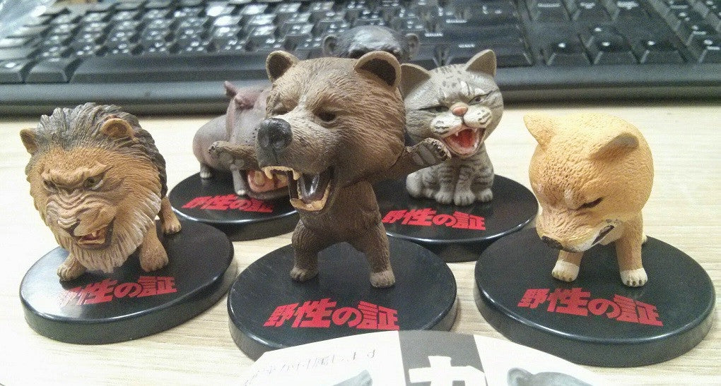 Takara Tomy Proof of Wild Gashapon Zoo Animal 6 Mini Collection Figure Set - Lavits Figure
- 3