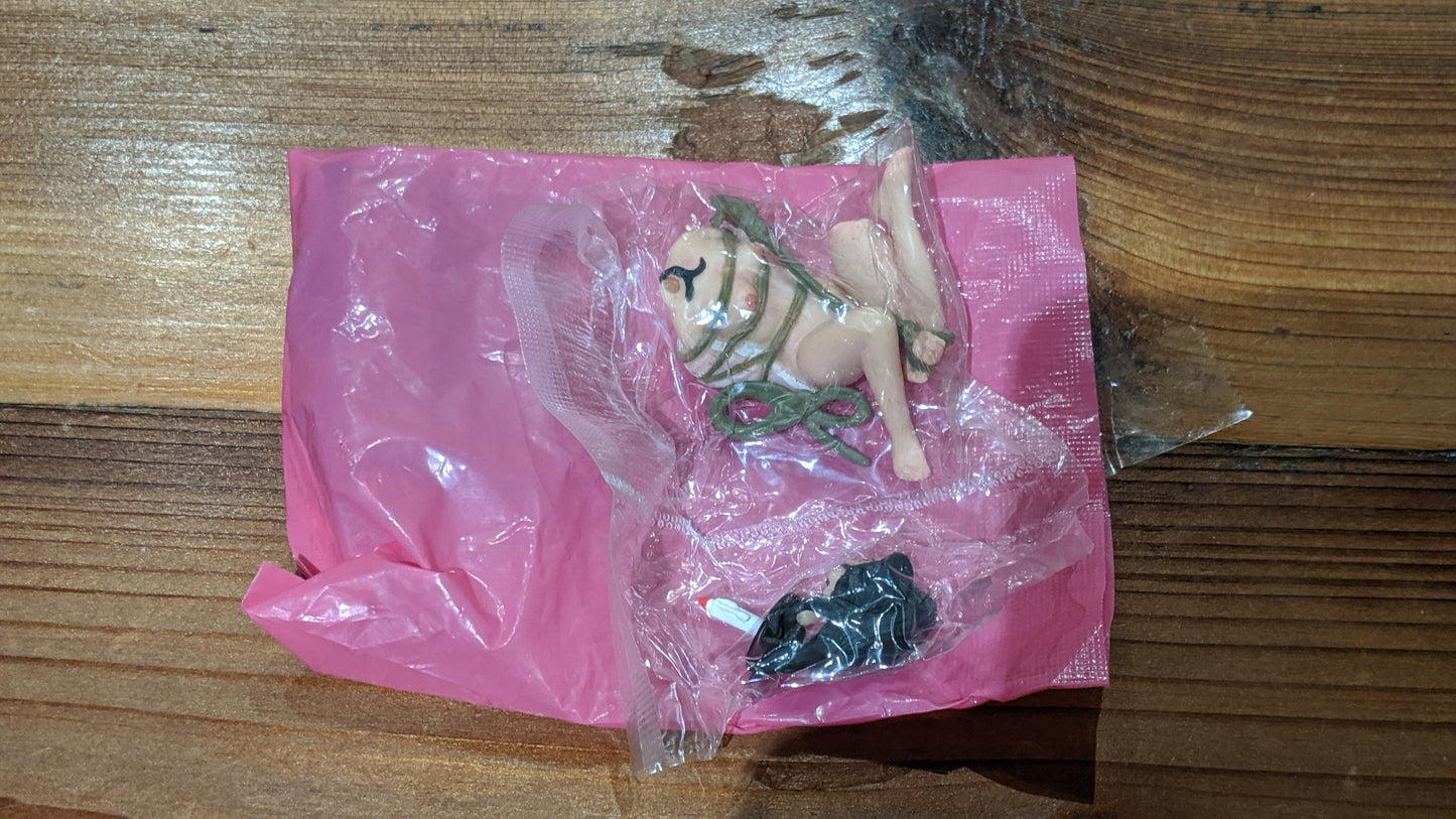 Ero Pon Eropon Series R18 Harada Ujo Part 1 Box Red Bag ver Trading Figure Type B