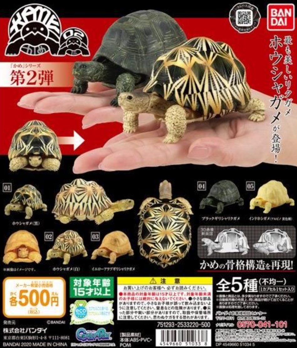 Bandai The Diversity of Life on Earth Gashapon Turtle Kame Part 02 5 Action Figure Set