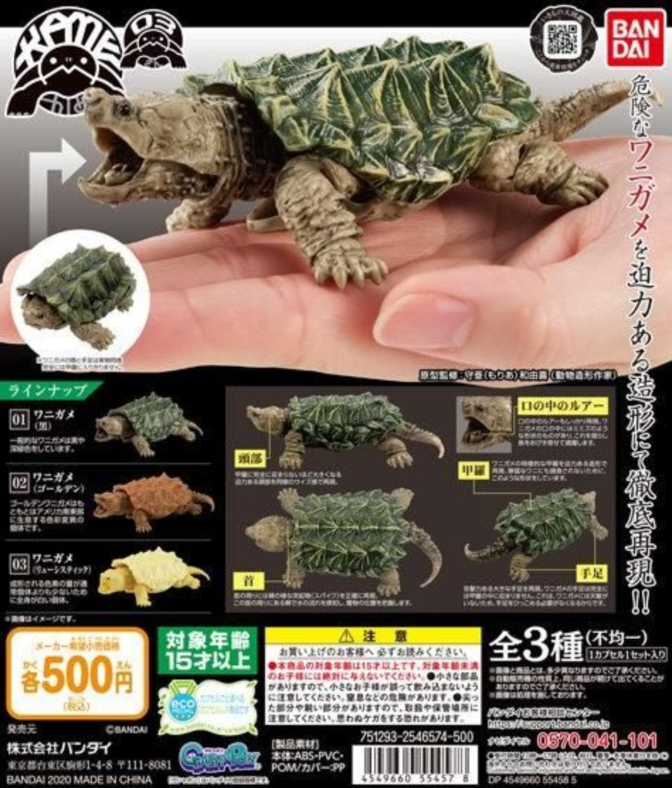 Bandai The Diversity of Life on Earth Gashapon Turtle Kame Part 03 3 Action Figure Set