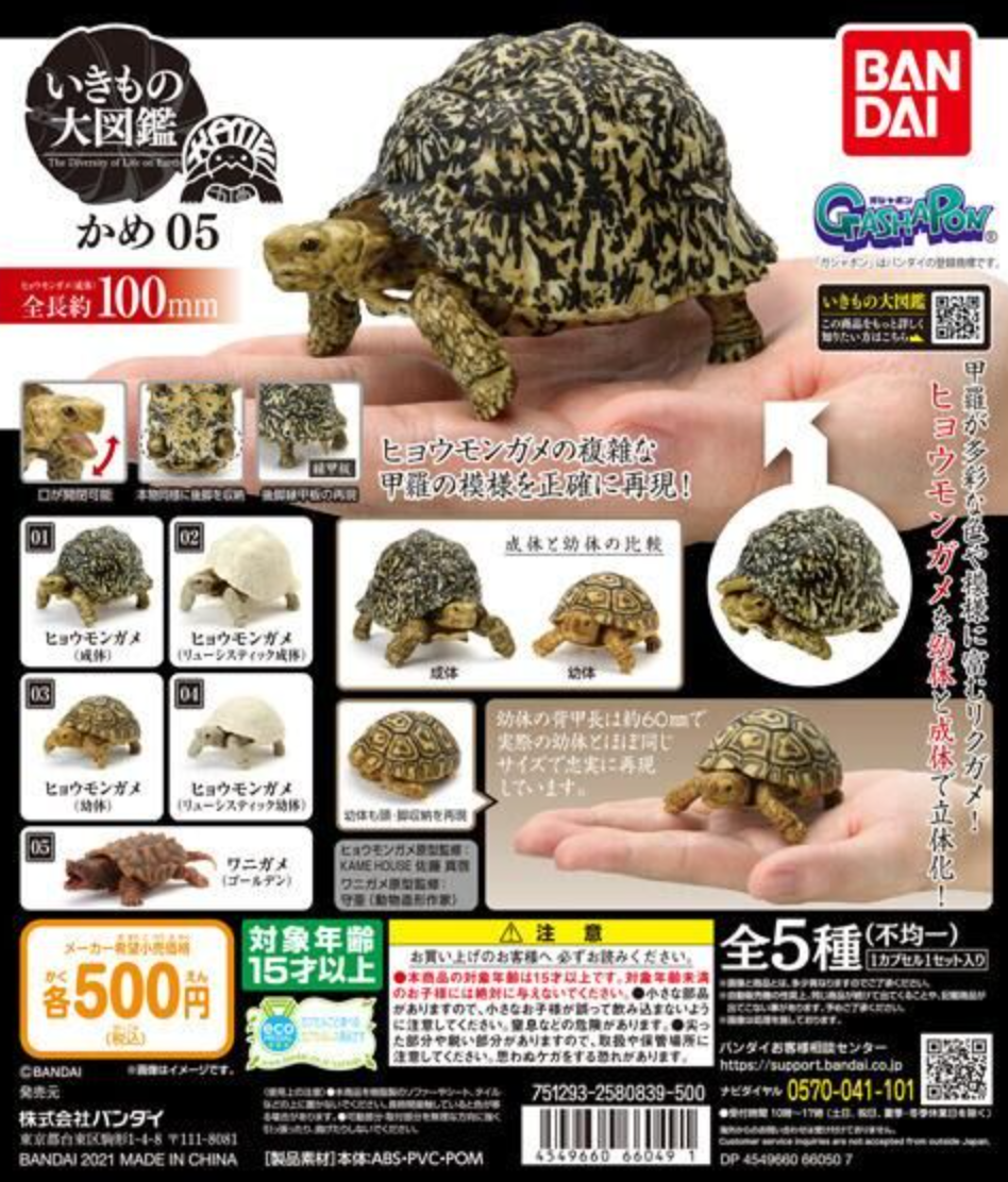 Bandai The Diversity of Life on Earth Gashapon Turtle Kame Part 05 5 Action Figure Set