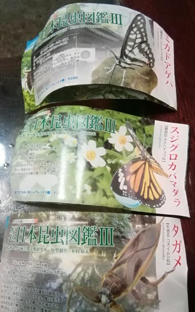 Yujin Japan Japanese Insect Illustrations Gashapon Part III 3 3 Mini Figure Set