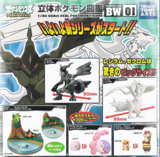 Takara Tomy 1/40 Real Pokemon Pocket Monsters Gashapon Best Wishes BW 01 5 Collection Figure Set