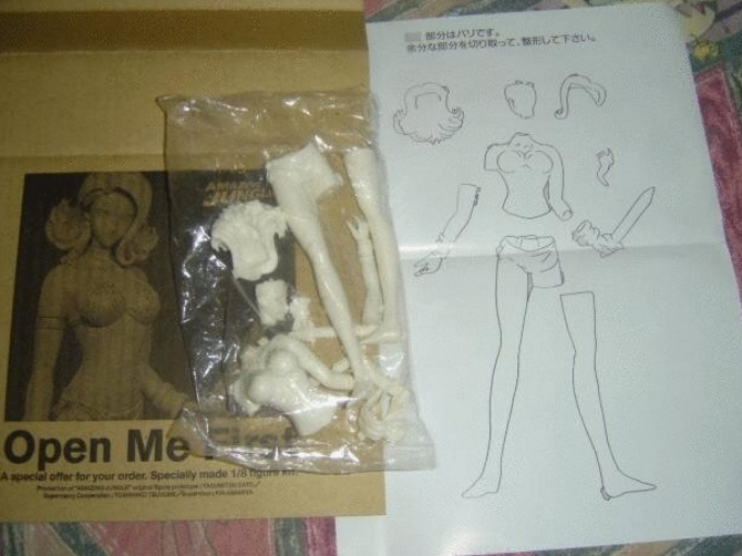 Kia Asamiya Michitaka Kikuchi Amazing Jungle Book w/ 1/8 Cold Cast Model Kit Figure - Lavits Figure
- 4