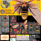 Bandai The Diversity of Life on Earth Gashapon Suzumebachi Hornet Wasp 3 Collection Figure Set