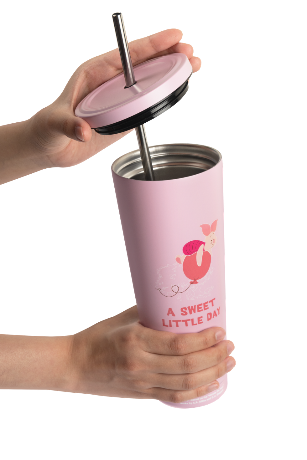 Disney Winnie The Pooh Tiggers Family Mart Taiwan Limited 750ml 304 Stainless Steel Cup w/ Straw Set Piglet ver