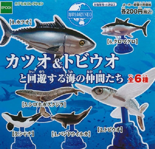 Epoch Earth Life Journey Gashapon Bonito Friends Of The Sea To Migratory Flying Fish 6 Trading Figure Set - Lavits Figure