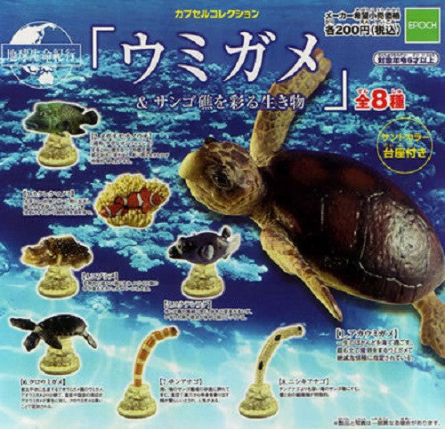 Epoch Earth Life Journey Gashapon Sea Turtle Creatures Colorful Coral Reefs 8 Trading Figure Set - Lavits Figure