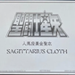 Bandai 2005 Saint Seiya Sagittarius Cloth Galaxian Wars Hong Kong Limited Plastic Action Figure