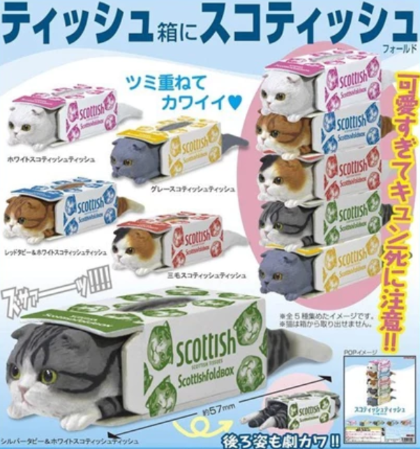 Kitan Club Gashapon Scottish Fold Tissue Box Cat 5 Collection Figure Set
