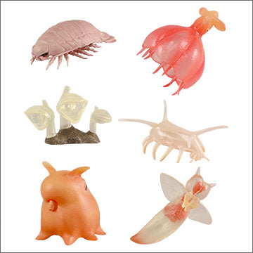 Takara Tomy 2015 Gashapon Encyclopedia of Mysterious Creatures Inhabitants of the Abyss Deep Sea 6 Trading Figure Set