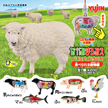 Yujin 2008 Gashapon Children's Encyclopedia Edible Animal Edition 7 Strap  Collection Figure Set