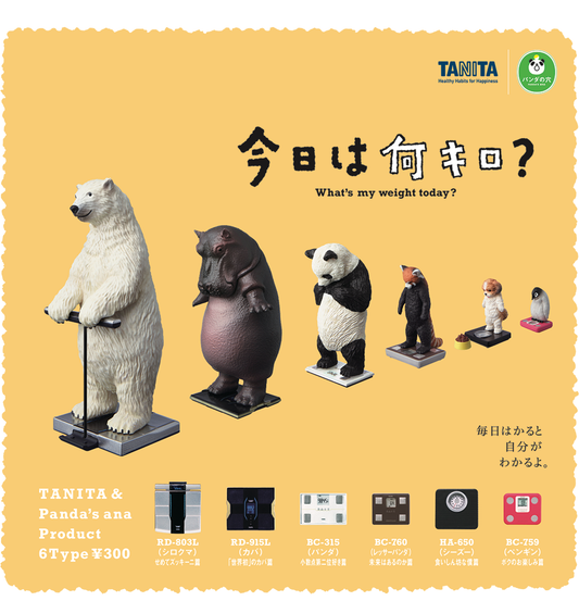 Panda's Ana Gashapon Tanita What's My Weight Today? Season 1 6 Collection Figure Set