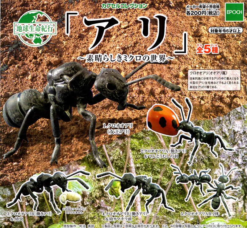 Epoch Earth Life Journey Gashapon Ants 5 Collection Figure Set