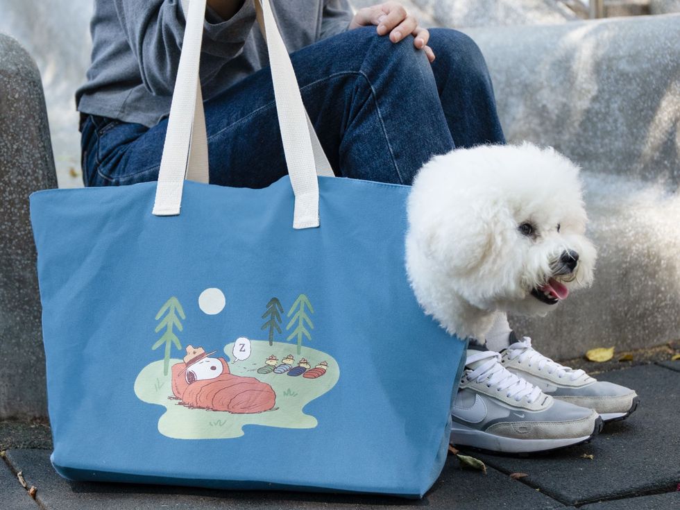 Peanuts Snoopy & Friends Camp Life Taiwan Cosmed Limited Pet Tote Bag