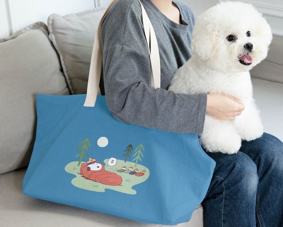 Peanuts Snoopy & Friends Camp Life Taiwan Cosmed Limited Pet Tote Bag